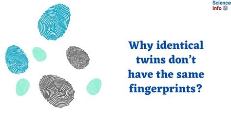 Why Even Identical Twins Have Different Fingerprints.